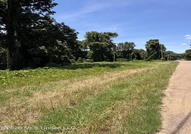 Homes for sale in Lake Cormorant, MS | 10533 Spring River Cvs, Lake Cormorant, MS 38641 | MLS# 4151594
