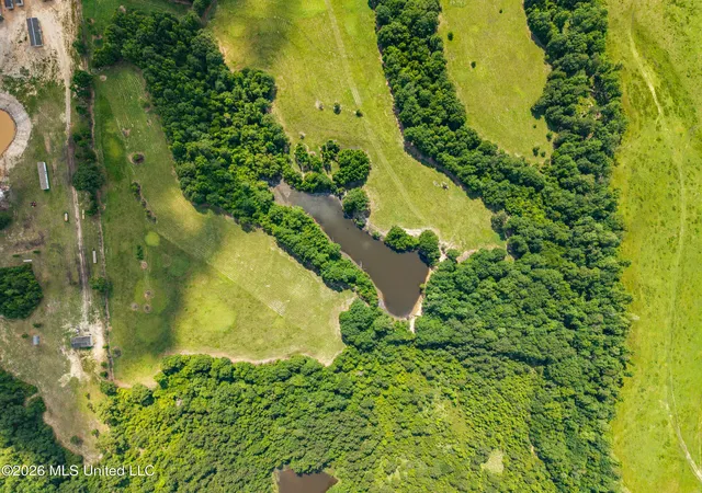 Photo 3 of Land for sale at Mississippi 53, Poplarville, MS 39470 | MLS# 4151298 | Listing updated on 2026-08-28