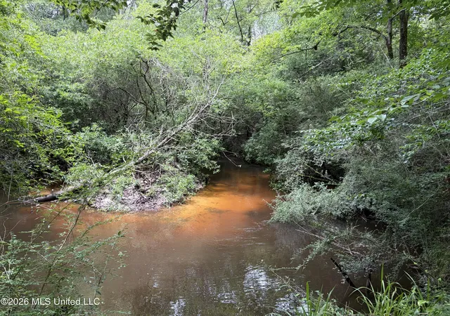 Photo 1 of Land for sale at 000 Thigpen Rd, Franklinton, LA 70438 | MLS# 4151299 | Listing updated on 2026-06-15