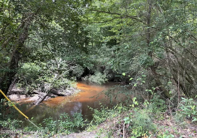 Photo 3 of Land for sale at 000 Thigpen Rd, Franklinton, LA 70438 | MLS# 4151299 | Listing updated on 2026-06-15