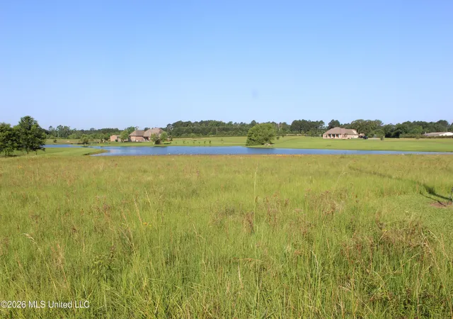 Homes for sale in Brookhaven, MS | Se Maura Ln, Brookhaven, MS 39601 | MLS# 4151344