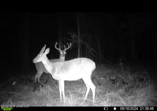 2nd image of Ms 25, Brandon, MS 39047 | MLS# 4151364