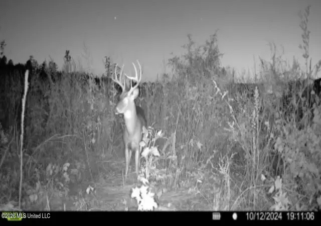 3rd image of Ms-25, Brandon, MS 39047 | MLS# 4151364