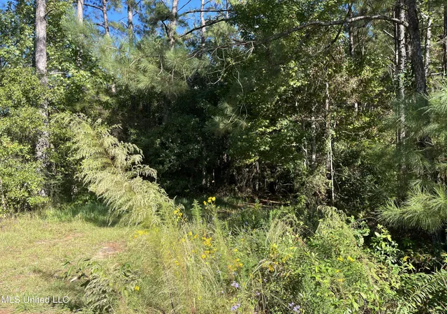Photo 3 of Land for sale at 0 Timberlane Rd, Picayune, MS 39466 | MLS# 4151370 | Listing updated on 2026-07-20