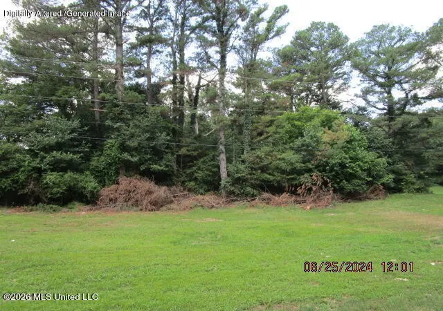Homes for sale in Coldwater, MS | N Stage Rd, Coldwater, MS 38618 | MLS# 4151374