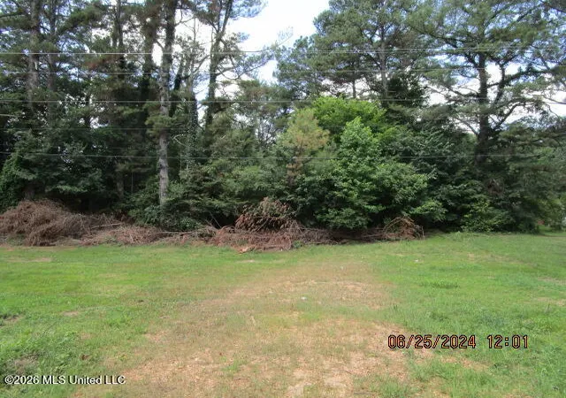 Homes for sale in Coldwater, MS | N Stage Rd, Coldwater, MS 38618 | MLS# 4151374