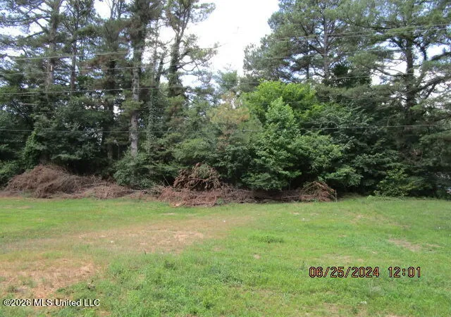 Homes for sale in Coldwater, MS | N Stage Rd, Coldwater, MS 38618 | MLS# 4151374