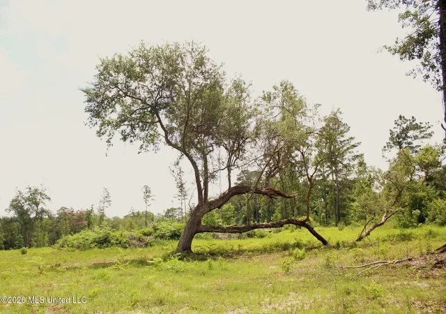 1st image of 2448ac River Rd, Lucedale, MS 39452 | MLS# 4151391