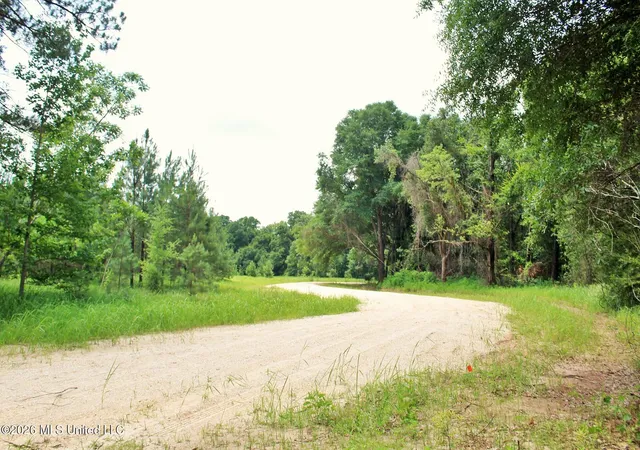 2nd image of 2448ac River Rd, Lucedale, MS 39452 | MLS# 4151391
