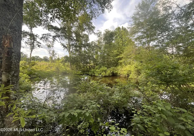 Homes for sale in Forest, MS | Pettey Rd, Forest, MS 39074 | MLS# 4151624
