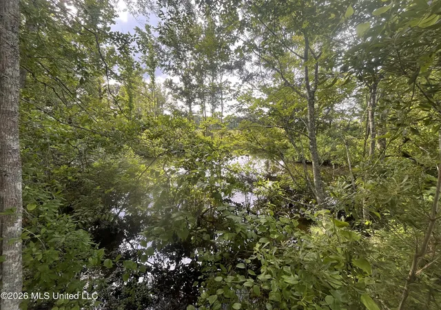 Homes for sale in Forest, MS | Pettey Rd, Forest, MS 39074 | MLS# 4151624