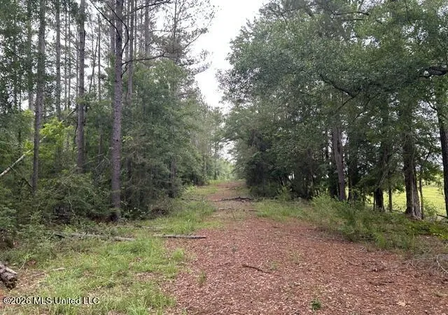 Homes for sale in Summit, MS | 301 Freeman Rd, Summit, MS 39666 | MLS# 4151755