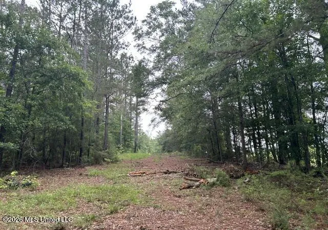 Homes for sale in Summit, MS | 301 Freeman Rd, Summit, MS 39666 | MLS# 4151755