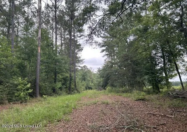 Homes for sale in Summit, MS | 301 Freeman Rd, Summit, MS 39666 | MLS# 4151755