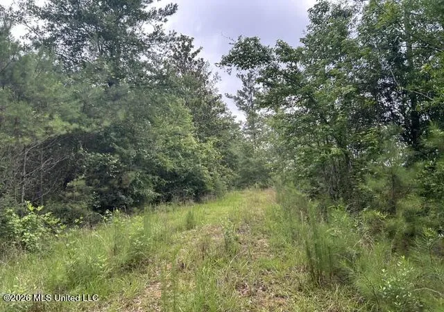 Homes for sale in Summit, MS | 301 Freeman Rd, Summit, MS 39666 | MLS# 4151755