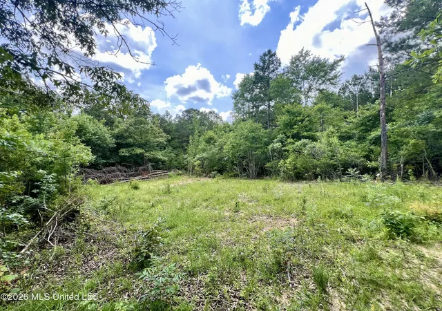 Homes for sale in Jayess, MS | 169 Holmesville Rd, Jayess, MS 39641 | MLS# 4151546