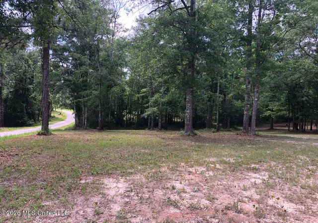 Homes for sale in Lucedale, MS | 288ac Morrison Dr, Lucedale, MS 39452 | MLS# 4151652
