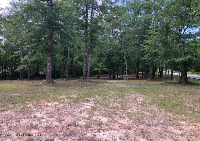 Homes for sale in Lucedale, MS | 288Ac Morrison Dr, Lucedale, MS 39452 | MLS# 4151652
