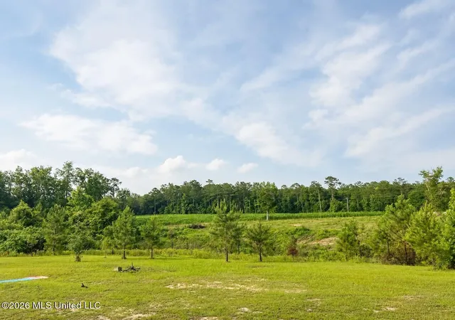 Homes for sale in Lucedale, MS | 1882 Mcinnis Vernal Rd, Lucedale, MS 39452 | MLS# 4151540