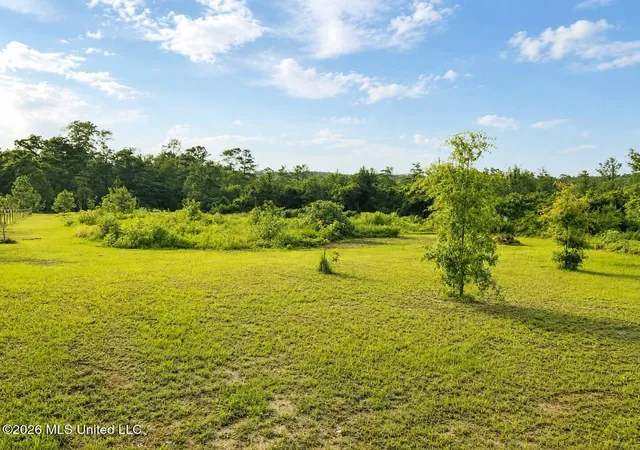 Homes for sale in Lucedale, MS | 1882 Mcinnis Vernal Rd, Lucedale, MS 39452 | MLS# 4151540