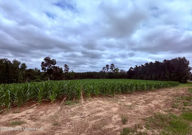 Homes for sale in Lucedale, MS | 1882 Mcinnis Vernal Rd, Lucedale, MS 39452 | MLS# 4151540