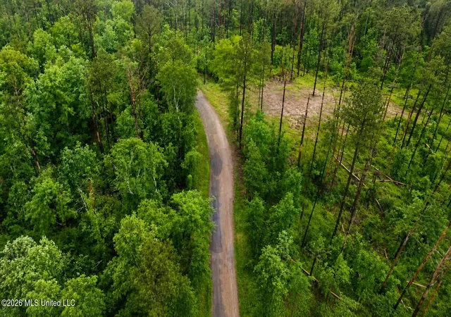 Homes for sale in Crystal Springs, MS | Ford Ln, Crystal Springs, MS 39059 | MLS# 4151534