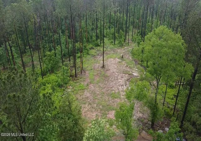 Homes for sale in Crystal Springs, MS | Ford Ln, Crystal Springs, MS 39059 | MLS# 4151534