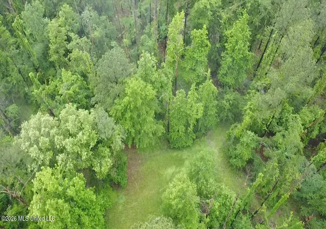 Homes for sale in Crystal Springs, MS | Ford Ln, Crystal Springs, MS 39059 | MLS# 4151534