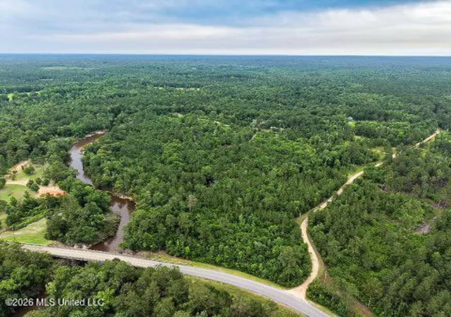 14th image of Mcneill Mchenry Rd, Poplarville, MS 39470 | MLS# 4151545