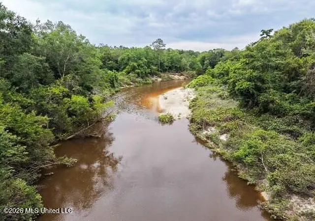 5th image of Mcneill Mchenry Rd, Poplarville, MS 39470 | MLS# 4151545