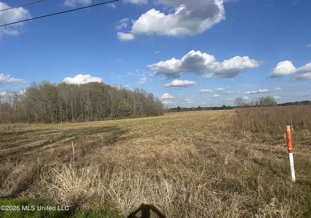 Homes for sale in Forest, MS | Old Hillsboro Road, Forest, MS 39074 | MLS# 4151560