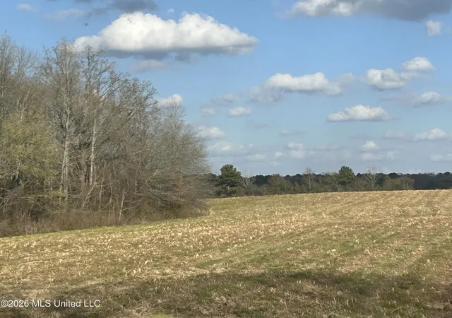 Homes for sale in Forest, MS | Old Hillsboro Road, Forest, MS 39074 | MLS# 4151560