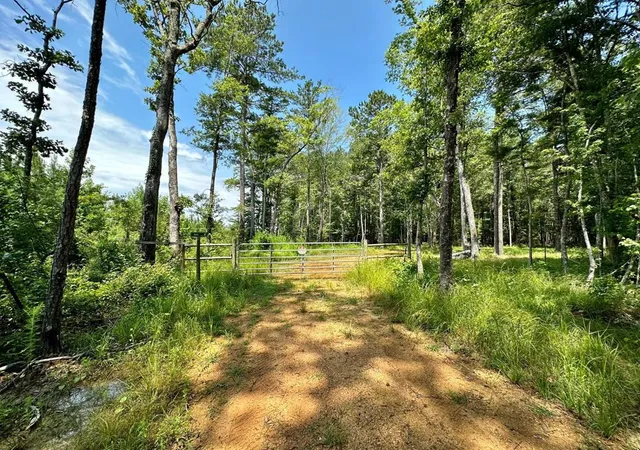 Homes for sale in Pinola, MS | Lee Bass Rd, Pinola, MS 39149 | MLS# 4151738