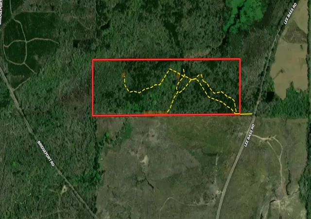 Homes for sale in Pinola, MS | Lee Bass Rd, Pinola, MS 39149 | MLS# 4151738