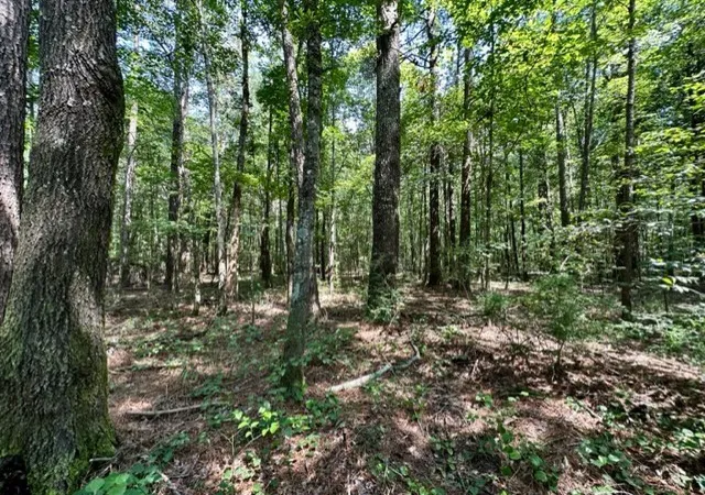 Homes for sale in Pinola, MS | Lee Bass Rd, Pinola, MS 39149 | MLS# 4151738