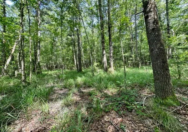 Homes for sale in Pinola, MS | Lee Bass Rd, Pinola, MS 39149 | MLS# 4151738