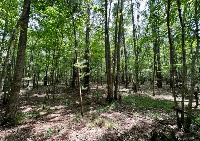 Homes for sale in Pinola, MS | Lee Bass Rd, Pinola, MS 39149 | MLS# 4151738