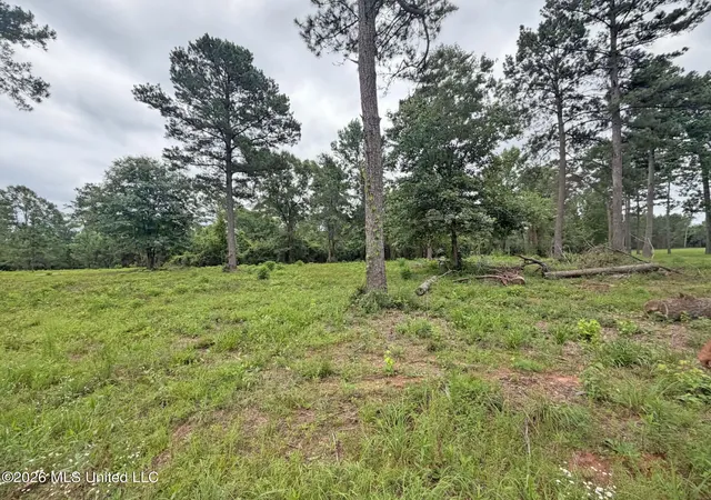 Homes for sale in Lucedale, MS | 5 Acres N Old 63 N Hwy, Lucedale, MS 39452 | MLS# 4151704