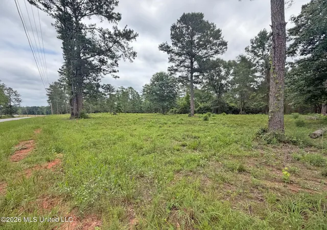Homes for sale in Lucedale, MS | 5 Acres N Old 63 N Hwy, Lucedale, MS 39452 | MLS# 4151704