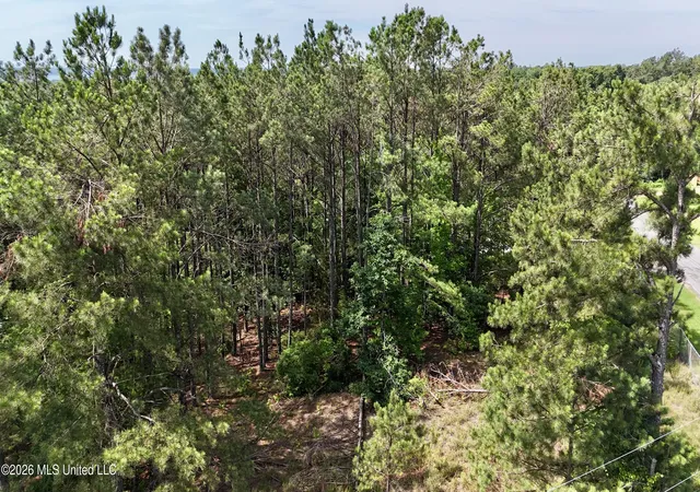 Homes for sale in Como, MS | New Hope Rd, Como, MS 38619 | MLS# 4151710
