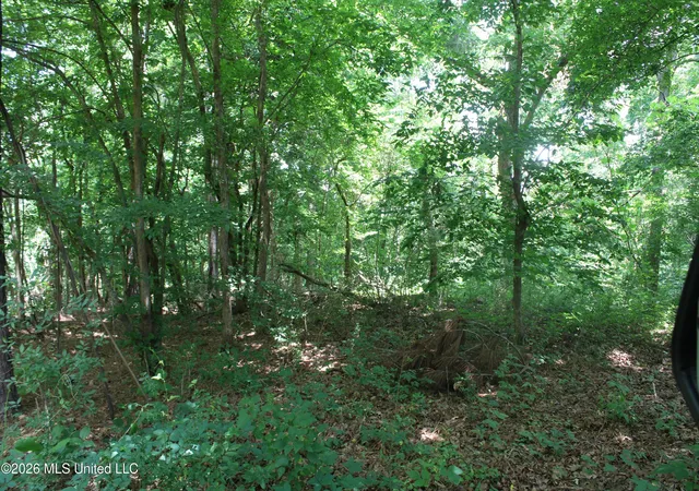 Homes for sale in Holly Springs, MS | 0 Scruggs Rd, Holly Springs, MS 38635 | MLS# 4151793
