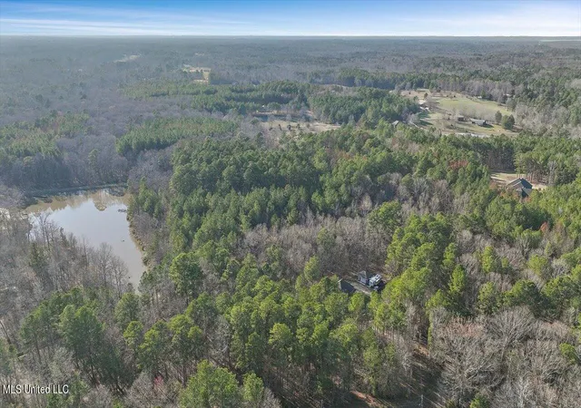 Homes for sale in Brandon, MS | 1074 Ridgeside Dr, Brandon, MS 39042 | MLS# 4151724