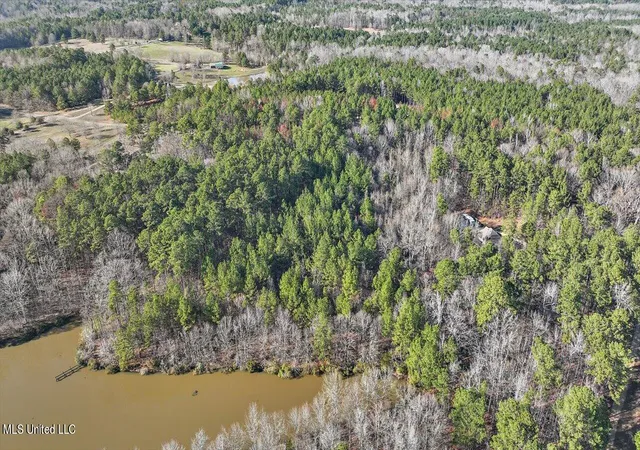 Homes for sale in Brandon, MS | 1074 Ridgeside Dr, Brandon, MS 39042 | MLS# 4151724