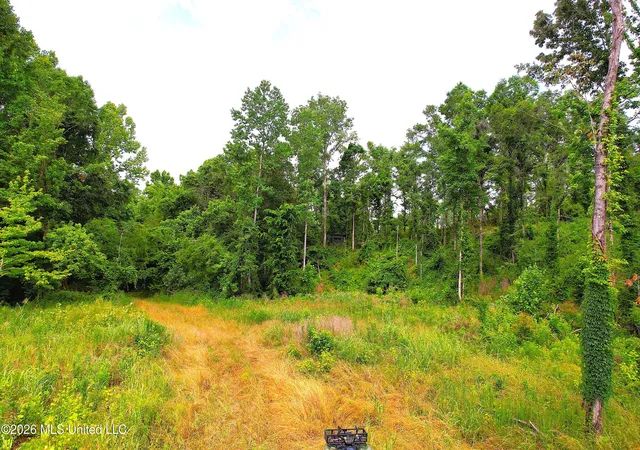2nd image of 1181 Gowall Rd, Vicksburg, MS 39183 | MLS# 4152014