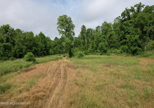 3rd image of 1181 Gowall Rd, Vicksburg, MS 39183 | MLS# 4152014