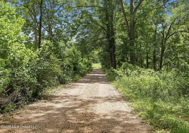 Homes for sale in Summit, MS | 1122 Willis Cotton Rd, Summit, MS 39666 | MLS# 4151771