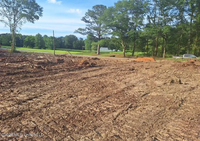 Homes for sale in Braxton, MS | 709 Old Pinola Braxton Rd, Braxton, MS 39044 | MLS# 4151844