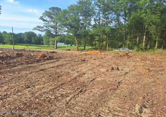 Homes for sale in Braxton, MS | 709 Old Pinola Braxton Rd, Braxton, MS 39044 | MLS# 4151844