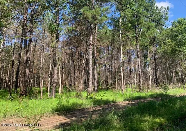 Photo 3 of Land for sale at Lower Bay Rd, Bay Saint Louis, MS 39520 | MLS# 4152757 | Listing updated on 2026-06-14