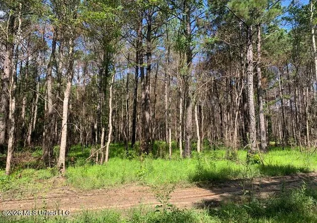 Photo 3 of Land for sale at Lower Bay Rd, Bay Saint Louis, MS 39520 | MLS# 4152757 | Listing updated on 2026-06-14